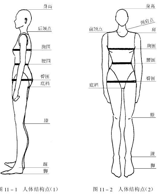 人體尺寸測(cè)量方法示意圖